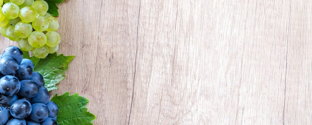 découvrez la naturopathie, une approche holistique de la santé qui utilise des remèdes naturels et des techniques douces pour favoriser le bien-être. apprenez comment équilibrer votre corps et votre esprit grâce à des conseils personnalisés en nutrition, phytothérapie et gestion du stress.