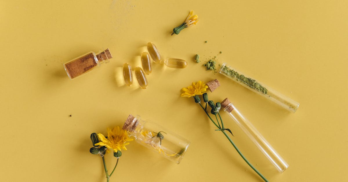 découvrez la naturopathie, une approche de santé holistique qui utilise des méthodes naturelles pour renforcer le bien-être et prévenir les maladies. explorez des conseils sur l'alimentation, les plantes médicinales et les techniques de relaxation pour vivre en harmonie avec votre corps.