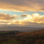 découvrez la neurovertical decompression, une approche innovante de traitement visant à soulager les douleurs vertébrales et améliorer la qualité de vie. profitez des bienfaits d'une décompression ciblée pour une santé optimale de votre colonne vertébrale.