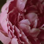 découvrez la thérapie par onde de choc, une méthode innovante pour soulager la douleur et stimuler la guérison. cette approche non invasive est utilisée pour traiter diverses affections musculo-squelettiques, améliorant votre qualité de vie et favorisant une récupération rapide. informez-vous sur ses bénéfices et trouvez un thérapeute près de chez vous.