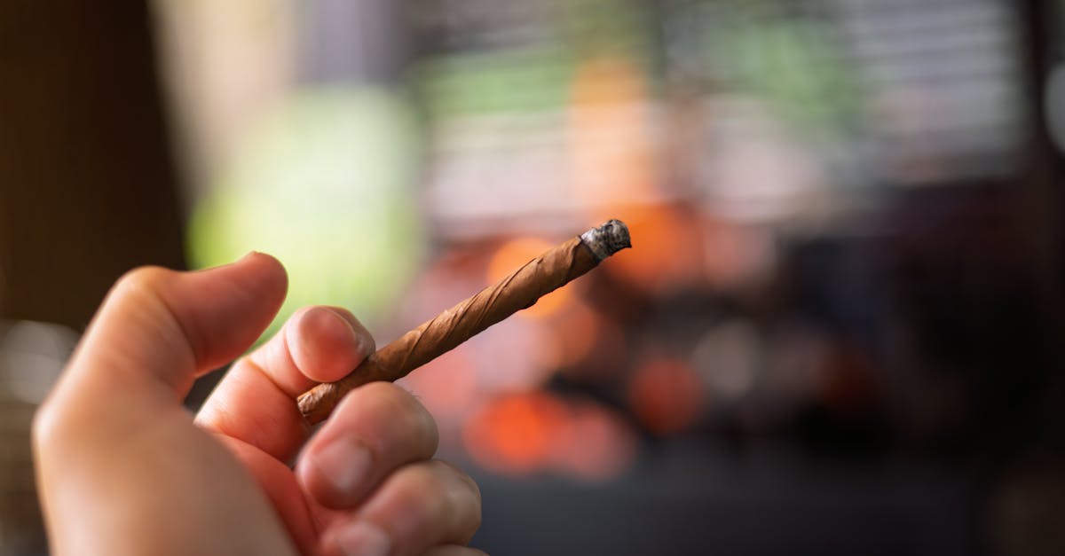 découvrez la thérapie par ondes de choc, une méthode innovante pour soulager la douleur et favoriser la guérison des tissus. explorez ses bienfaits, son efficacité sur diverses pathologies et comment cette approche non invasive peut améliorer votre qualité de vie.