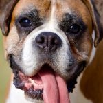 découvrez la décompression vertébrale, une méthode efficace pour soulager les douleurs dorsales et améliorer votre bien-être. en ciblant les causes de l’inconfort, cette approche vise à restaurer la santé de votre colonne vertébrale, vous permettant de retrouver mobilité et qualité de vie.