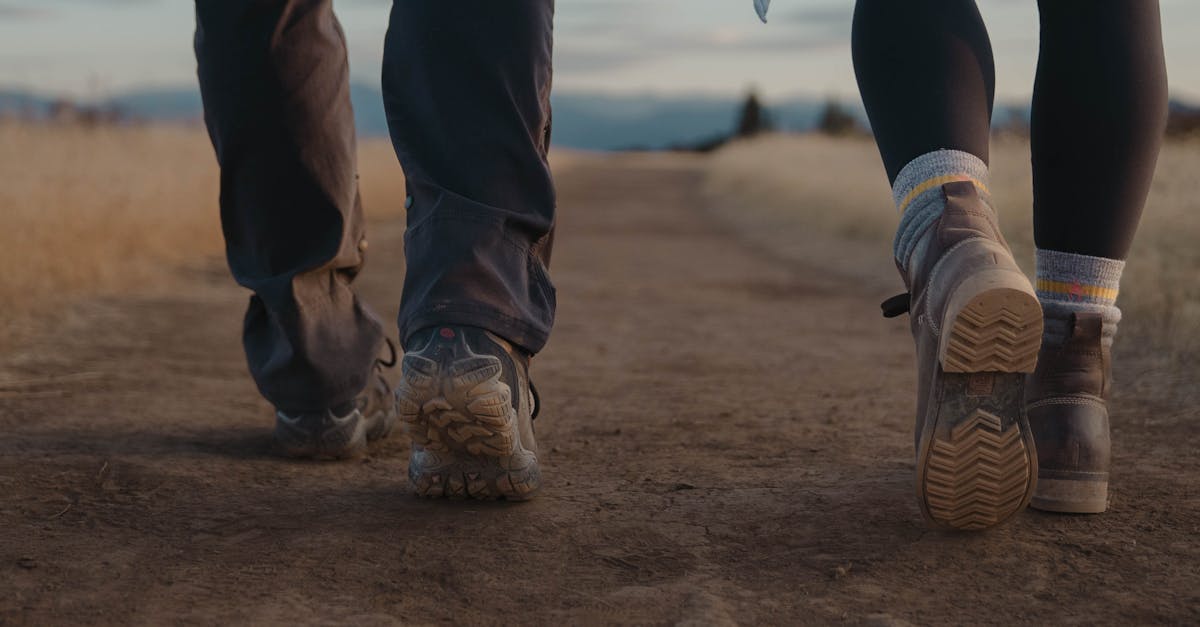 découvrez l'importance de la santé mitochondriale pour votre bien-être. apprenez comment soutenir vos mitochondries pour améliorer votre énergie, votre métabolisme et votre résistance aux maladies.