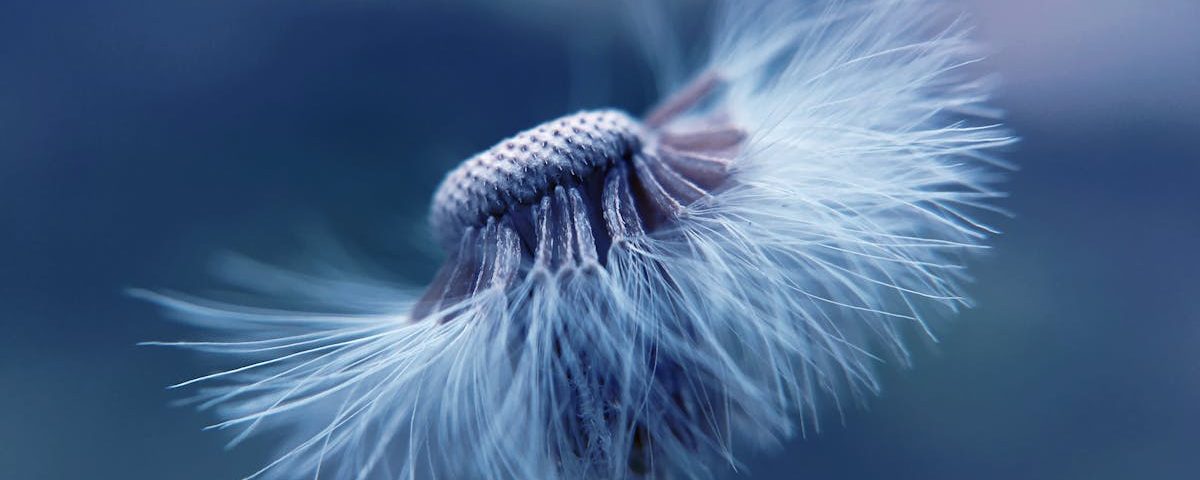 Naturopathie et santé mentale : retrouver un équilibre émotionnel 26 découvrez la naturopathie, une approche holistique de la santé qui utilise des méthodes naturelles pour renforcer votre bien-être et favoriser la guérison. apprenez à équilibrer votre corps et votre esprit grâce à des conseils personnalisés en alimentation, phytothérapie et techniques de relaxation.