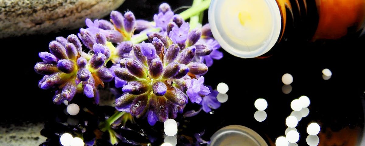 découvrez la naturopathie, une approche de santé naturelle qui privilégie les méthodes préventives et l'autoguérison. explorez des conseils sur l'alimentation, les plantes médicinales et les techniques holistiques pour améliorer votre bien-être et retrouver un équilibre corps-esprit.