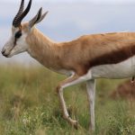 découvrez la décompression neuro-vertébrale, une méthode innovante pour soulager les douleurs cervicales et lombaires. améliorez votre qualité de vie grâce à cette approche non invasive qui cible les problèmes vertébraux et favorise la guérison naturelle.