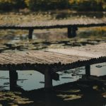 découvrez la décompression neuro-spinale, une approche novatrice pour soulager la douleur et restaurer la mobilité. profitez d'un traitement non invasif qui cible efficacement les problèmes de la colonne vertébrale et améliore votre qualité de vie.