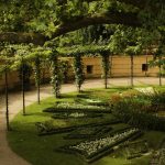 découvrez les bienfaits des plantes adaptogènes pour harmoniser votre corps et votre esprit. apprenez comment ces superbes plantes aident à réduire le stress, améliorer votre énergie et favoriser votre bien-être général.