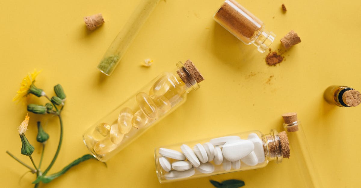 découvrez les plantes médicinales, leurs bienfaits pour la santé, leurs utilisations traditionnelles et comment les intégrer naturellement dans votre quotidien.