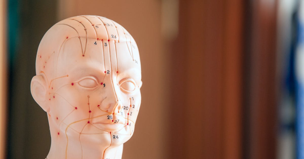 découvrez les principes et bienfaits de la médecine manuelle : techniques, indications et conseils pour une approche naturelle de la santé, adaptée à vos besoins.