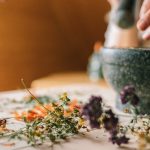 découvrez la médecine manuelle : une approche thérapeutique visant à traiter les troubles fonctionnels du corps à travers des techniques de manipulation, offerte par des professionnels qualifiés pour améliorer votre bien-être.