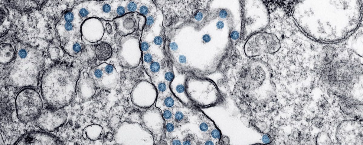 découvrez ce qu'est le microbiome, son rôle essentiel dans la santé humaine, et comment vous pouvez préserver l'équilibre de votre flore microbienne au quotidien.