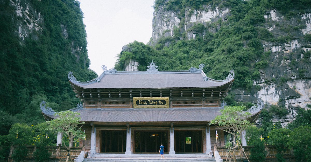 découvrez la naturopathie, une approche naturelle de la santé visant à renforcer le bien-être physique et mental grâce à des méthodes douces et personnalisées. conseils, bienfaits et solutions naturelles pour une vie plus saine.