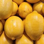 découvrez l'importance de la santé mitochondriale, son rôle clé dans la production d'énergie cellulaire, les principaux facteurs qui l'influencent et des conseils pratiques pour optimiser vos fonctions mitochondriales au quotidien.