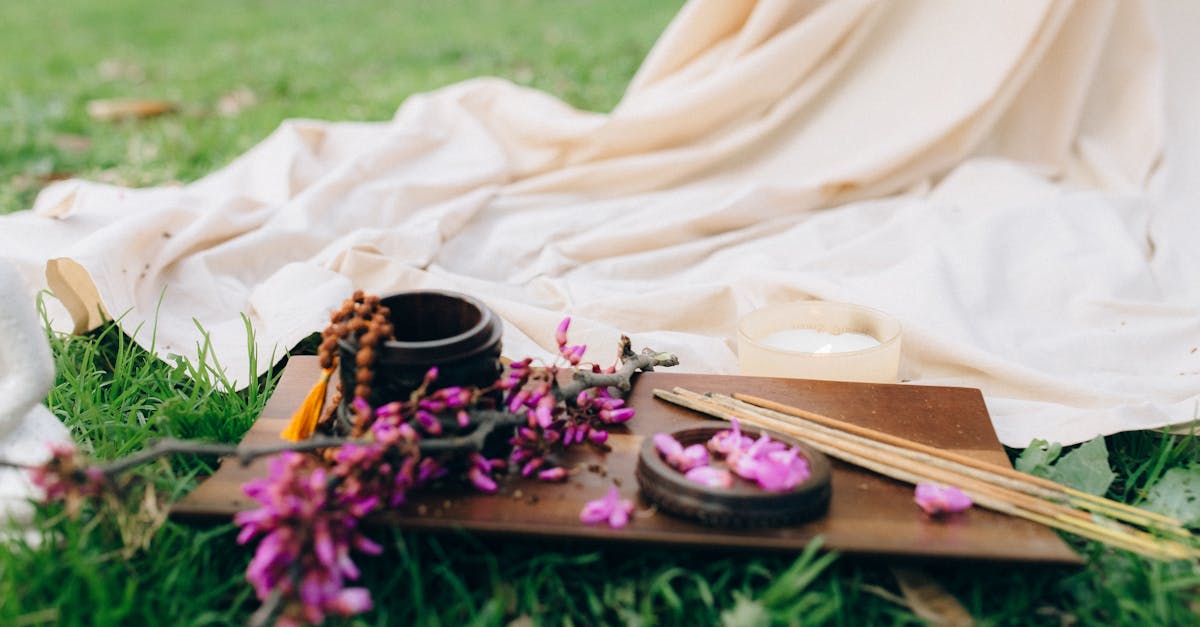 découvrez la naturopathie, une approche naturelle pour retrouver équilibre et bien-être. apprenez à renforcer votre santé grâce à des conseils personnalisés, des solutions naturelles et des pratiques holistiques adaptées à vos besoins.
